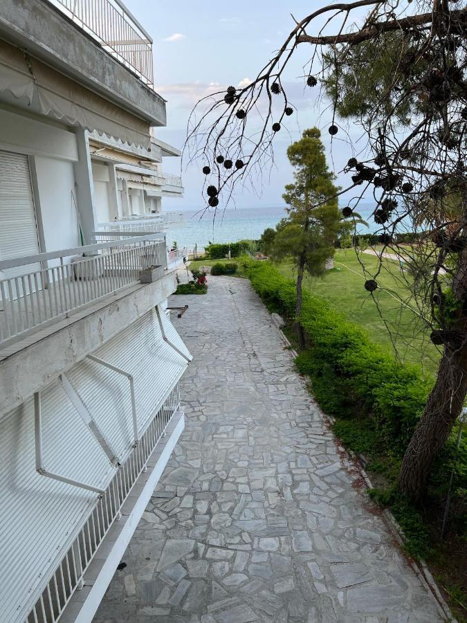 Next To The House Agni *
