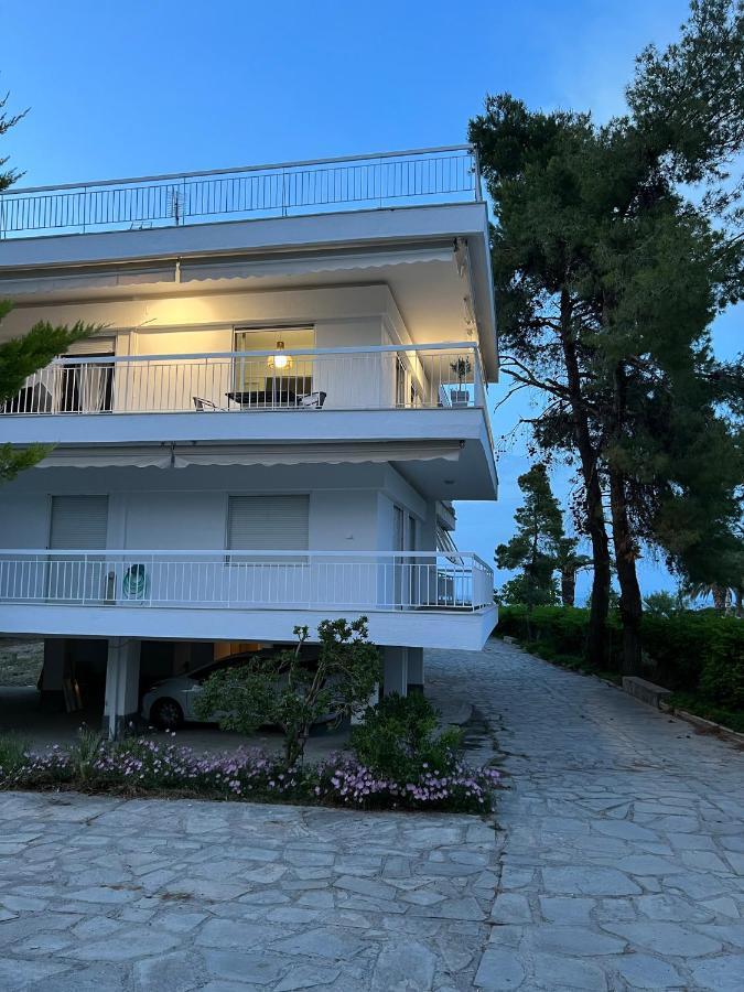 Apartment Next To The House Agni Hanioti