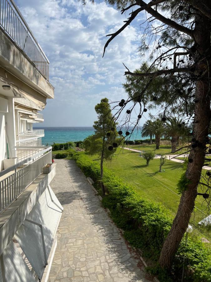 Apartment Next To The House Agni